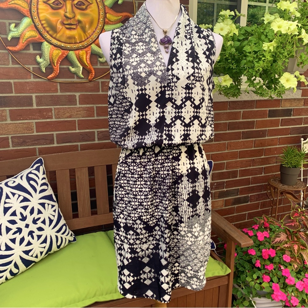 ReneeC Drop Waist Sleeveless Dress